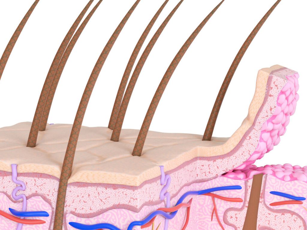 Cosmetice Naturale Romanesti